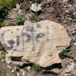 Der Anstiegsweg auf den Sattelberg ist nicht zur verfehlen