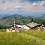 Inmitten idyllischer Wiesen liegt die Masarè Hütte