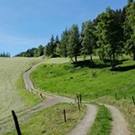 In angenehmer Steigung nach Bad Dreikirchen