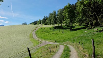 In angenehmer Steigung nach Bad Dreikirchen