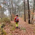 Herbstwanderung rund um Eppan