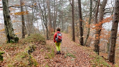 Herbstwanderung rund um Eppan