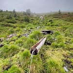 Erfrischende Quelle auf dem Weg zur Schatzerhütte