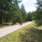 Der Weg zur Schönbergalm erfreut sich auch bei Mountainbikern großer Beliebtheit