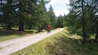 Der Weg zur Schönbergalm erfreut sich auch bei Mountainbikern großer Beliebtheit