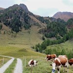 Zufriedene Weggefährten am Wegesrand