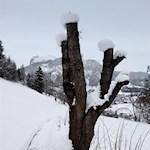 Winteridylle auf dem Sunnseitnweg 