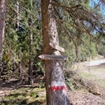 Am Beginn des Wallfahrtsweges oberhalb der Talstation der Plose Seilbahn