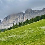 Blick auf den wolkenverhangenen Rosengarten