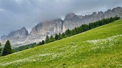 Blick auf den wolkenverhangenen Rosengarten
