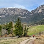 Auf dem Rückweg nach Prösels öffnen sich schöne Ausblicke auf den Schlern und die Hammerwand