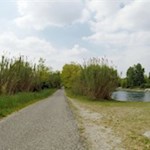 Durch die bezaubernde Auenlandschaft nach Valeggio sul Mincio