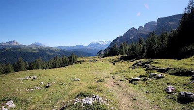 In der Ferne schimmert die schneebedeckte Marmolata