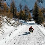 Auf flotten Kufen zurück ins Tal