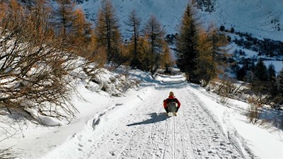 Auf flotten Kufen zurück ins Tal