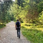 Durch den Wald zum Großstahlhof