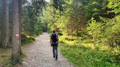 Durch den Wald zum Großstahlhof
