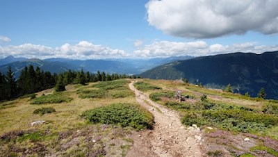 Die letzten Anstiegsmeter auf den Lutterkopf