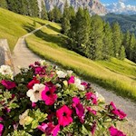 Ausblick von der Sonnenterrasse der Ütia da Rit