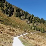 Der sanfte Panoramaweg verbindet die Innere Wurzeralm mit der Jogilealm