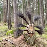 Die Kunstwerke auf dem Themenweg LandArt sind Wind und Wetter ausgesetzt