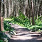 Längs des Weges stößt man auf besinnliche Psalmen