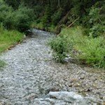 Unsere Wanderung führt den Lasankenbach entlang