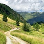 Von der Valtiglalm schlängelt sich der Weg zurück nach Ridnaun