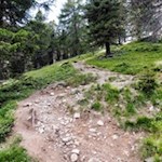 Knapp unterhalb der Zirmaitalm