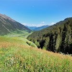Unsere Wanderung führt durch idyllische Blumenwiesen