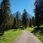 Die malerischen Lärchenwiesen am Eingang des Innerfeldtals