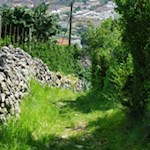 Zahlreiche Trockenmauern säumen den Archeopfad