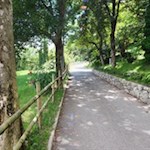 Auf sanften Wegen von Mühlbach nach Schabs