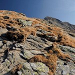 Über felsendurchsetztes Gelände auf die Jaufenspitze