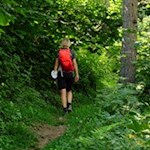 Auf dem Weg zur Schwarzbachalm