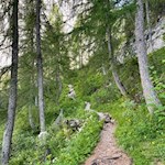 In the steady climb to the rifugio Vandelli mountain hut
