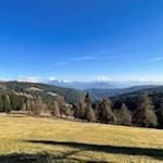 Aussichtsreiche Lichtung unterhalb der Jenesier Jöchl Alm