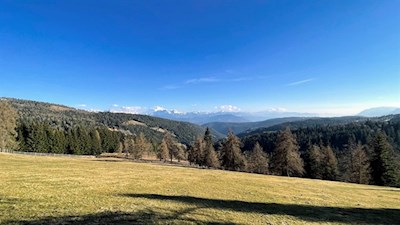 Aussichtsreiche Lichtung unterhalb der Jenesier Jöchl Alm