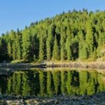 Malerisch spiegeln sich die hohen Bäume im Kleinen Schrüttensee