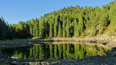 Malerisch spiegeln sich die hohen Bäume im Kleinen Schrüttensee