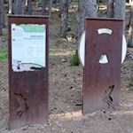 Am "Waldrastplatz" zweigt der Weg nach rechts ab