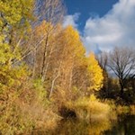 Herbstliche Stimmung am Biotop Laugen