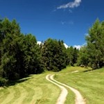Die Wanderung auf die Kreuzspitze führt durch Wiesen und Wälder