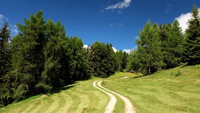 Die Wanderung auf die Kreuzspitze führt durch Wiesen und Wälder