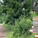 Links zweigt der Weg zum nahen Elisabeth Denkmal, rechts jener zur Heinzen Alm ab