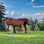 Trautes Beisammensein...