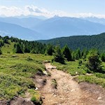 Hinter dem Steinermandl fällt der Panoramaweg durch Heidewiesen ab