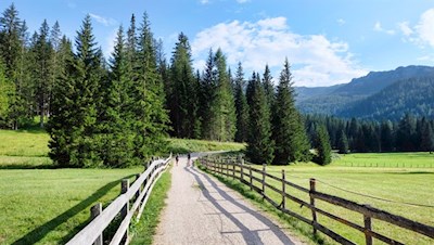 On gentle paths to the Munt de Valparola
