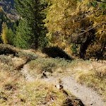 Der letzte Abschnitt führt im steten Anstieg auf den einsamen Gipfel