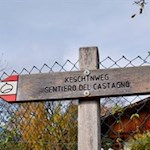 Der Keschtnweg ist bestens ausgeschildert